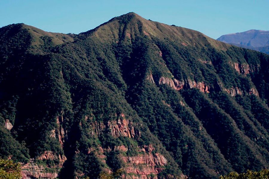 Portada Parque Nacional Calilegua Jujuy