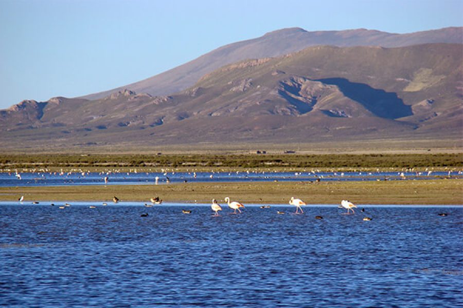 Laguna Pozuelo Jujuy Portada