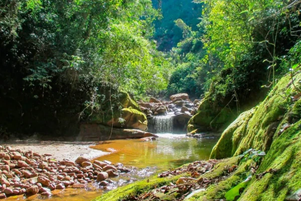 cascada-de-agua-parque-nacional-calilegua