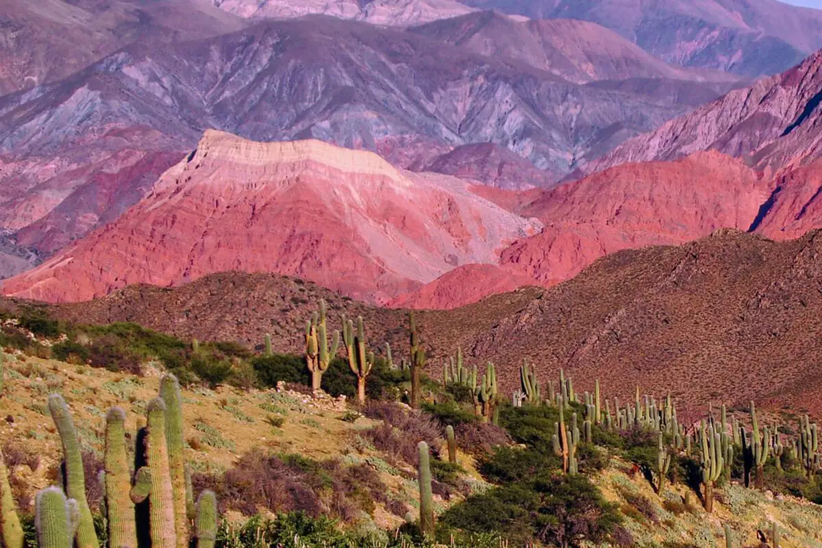 Cusi Cusi – Valle De La Luna desde Purmamarca
