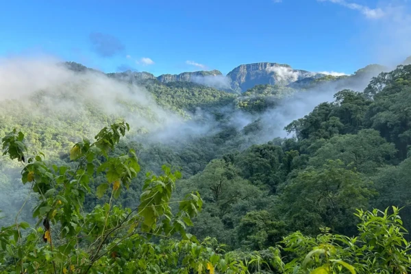 paisaje-parque-nacional-calilegua