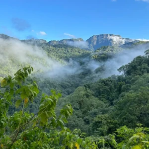 paisaje-parque-nacional-calilegua
