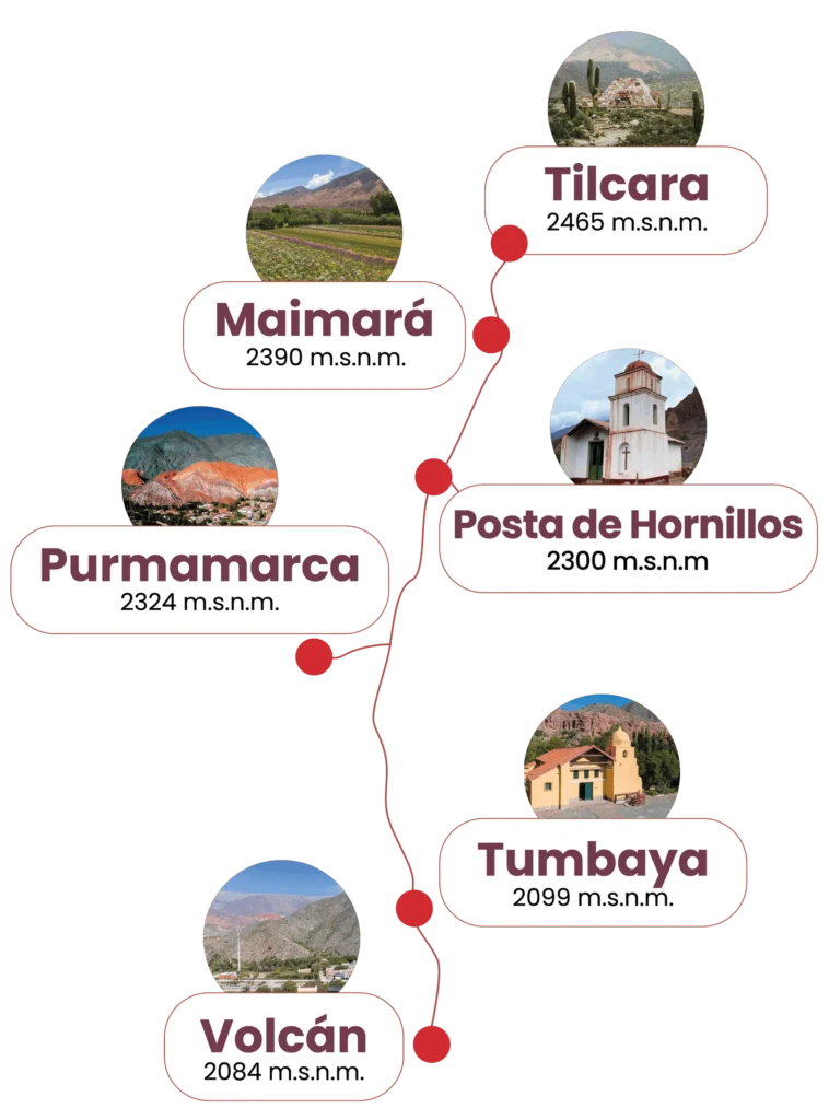 recorrido-tren