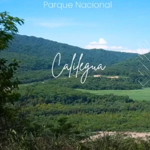 PN CALILEGUA