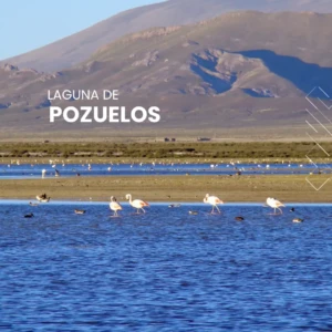 laguna de pozuelos